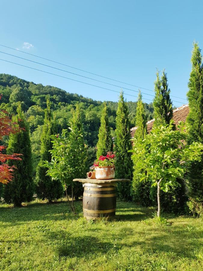 Family Hotel Chiflik Hills Экстерьер фото